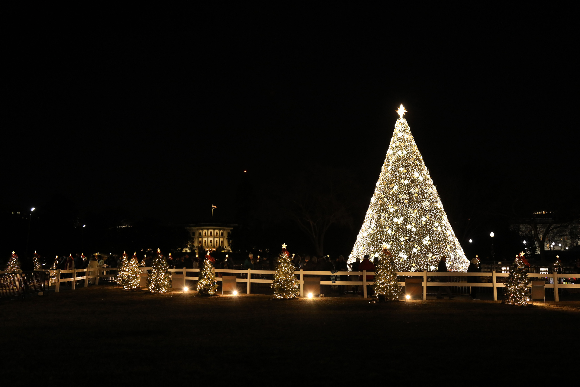 Home Page National Christmas Tree Lighting