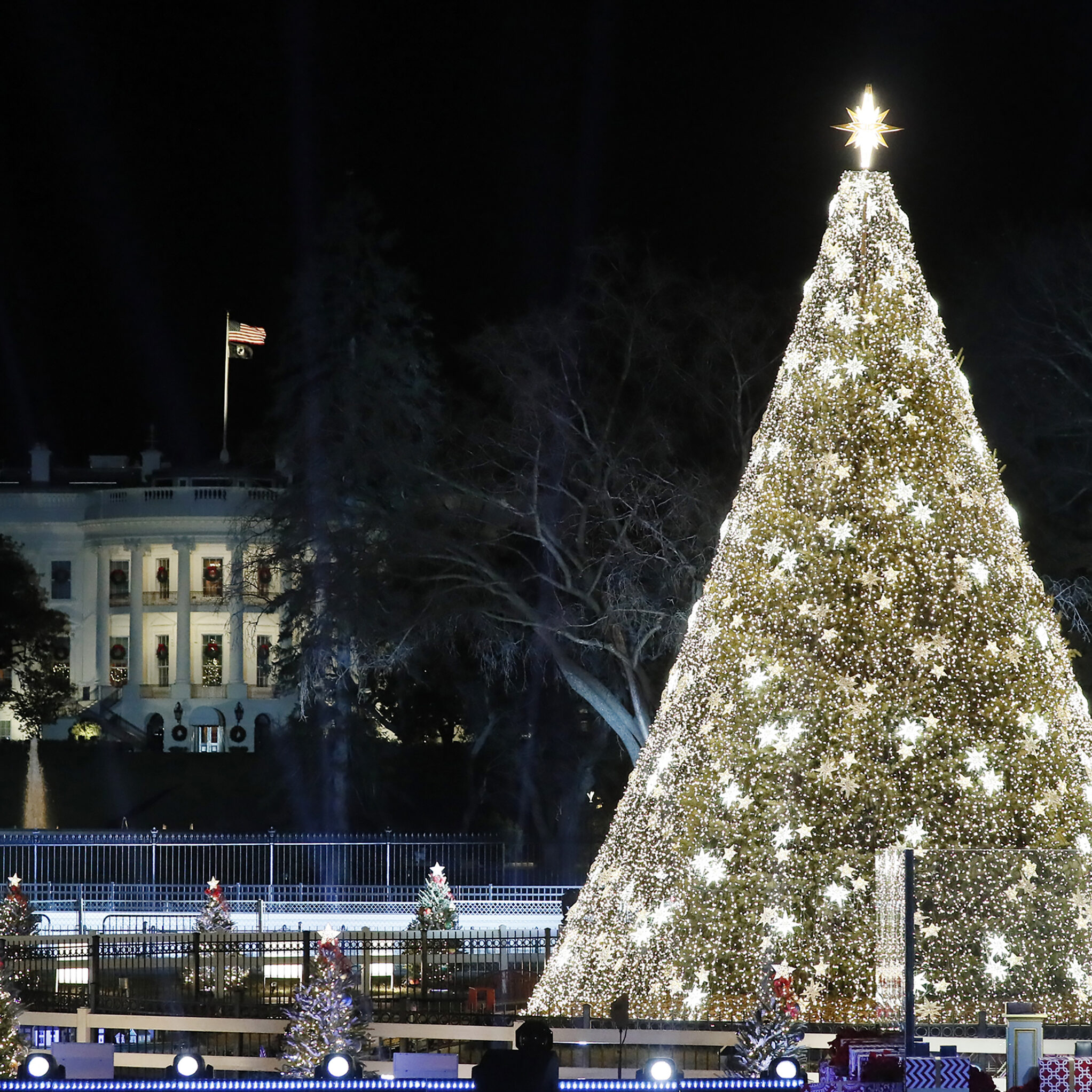 2020 National Christmas Tree Lighting Ceremony National Christmas