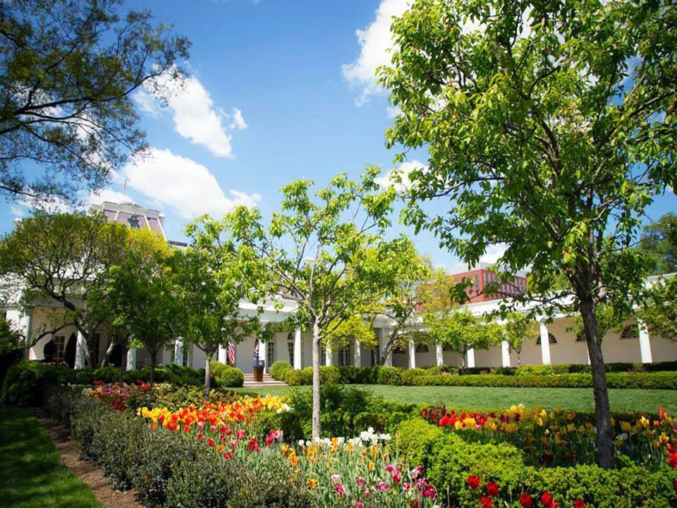 Blooming gardens surrounded by a covered walkway