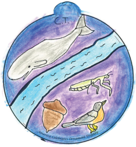 Illustration of a river, a whale, an acorn, a bird, and a praying mantis