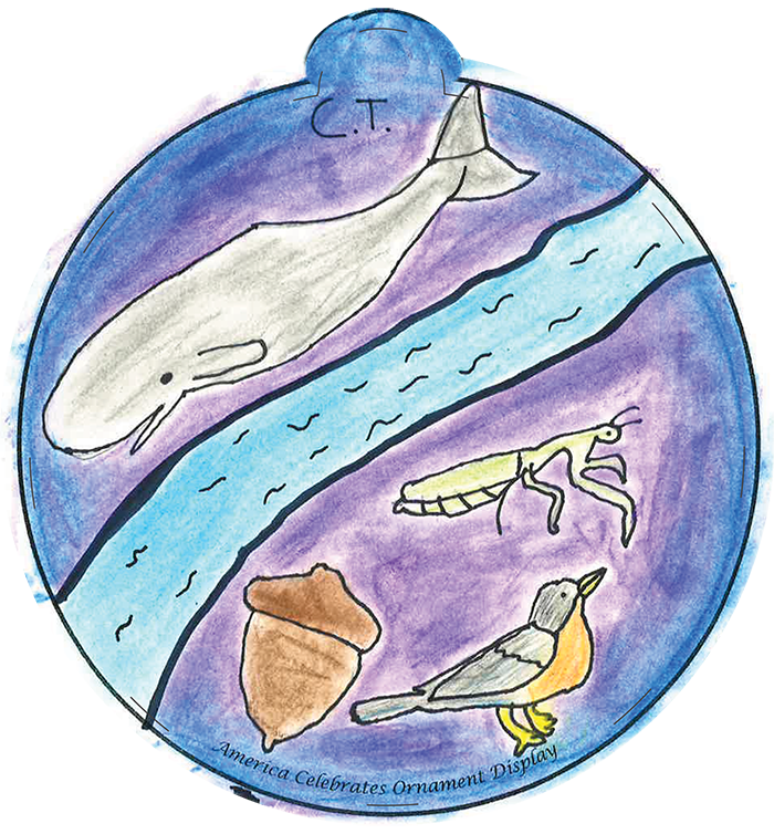 Illustration of a river, a whale, an acorn, a bird, and a praying mantis