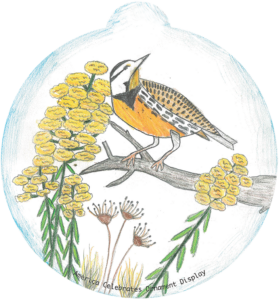 Illustration of a bird on a branch with wildflowers