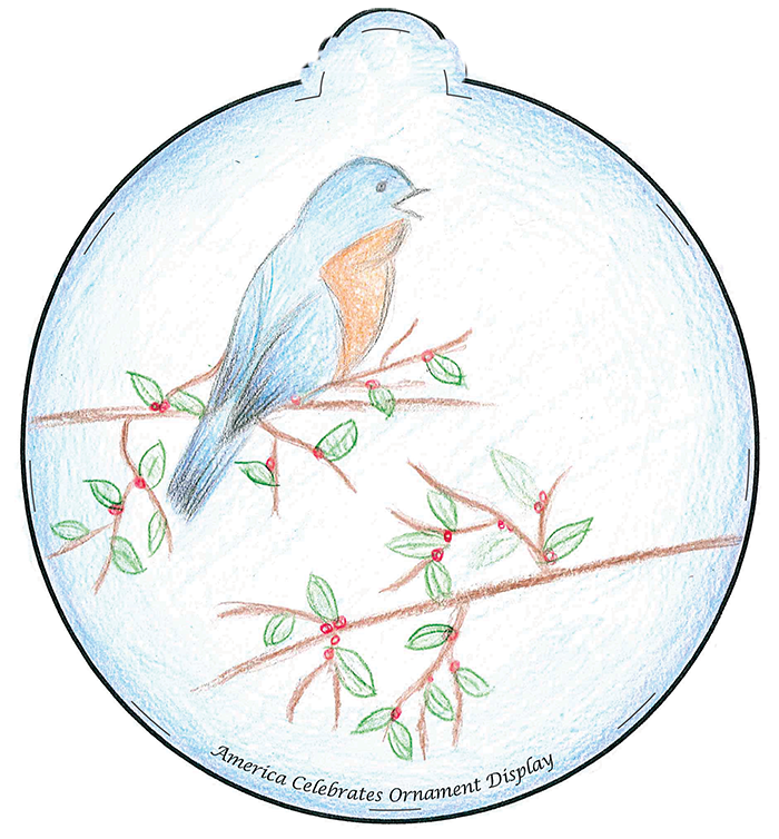 Illustration of an eastern bluebird on a branch.