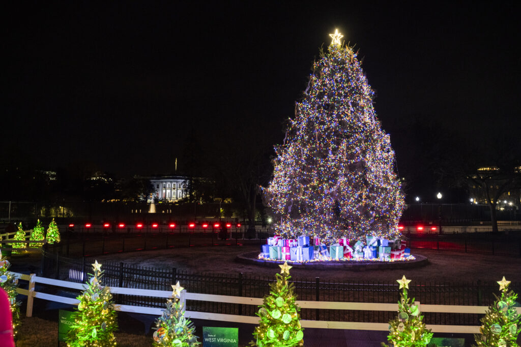 A lit Christmas tree with multi-colored lights. In this distance you can see the White House