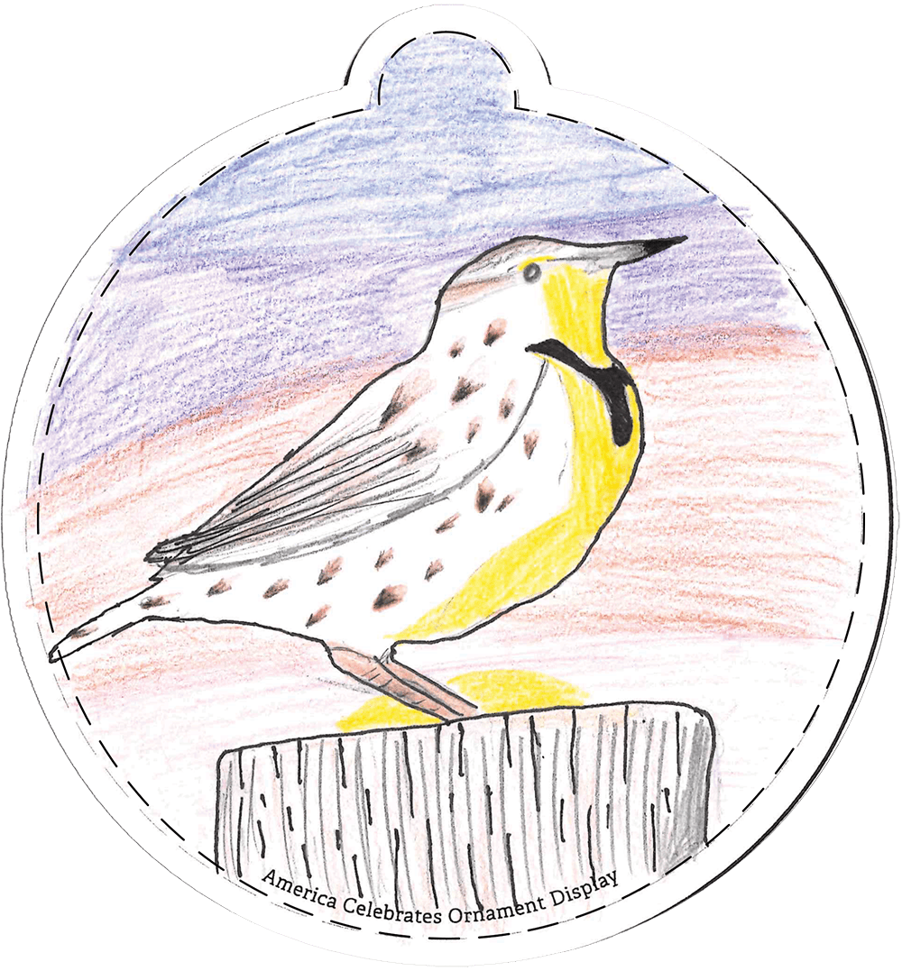 nebraska-national-christmas-tree-lighting