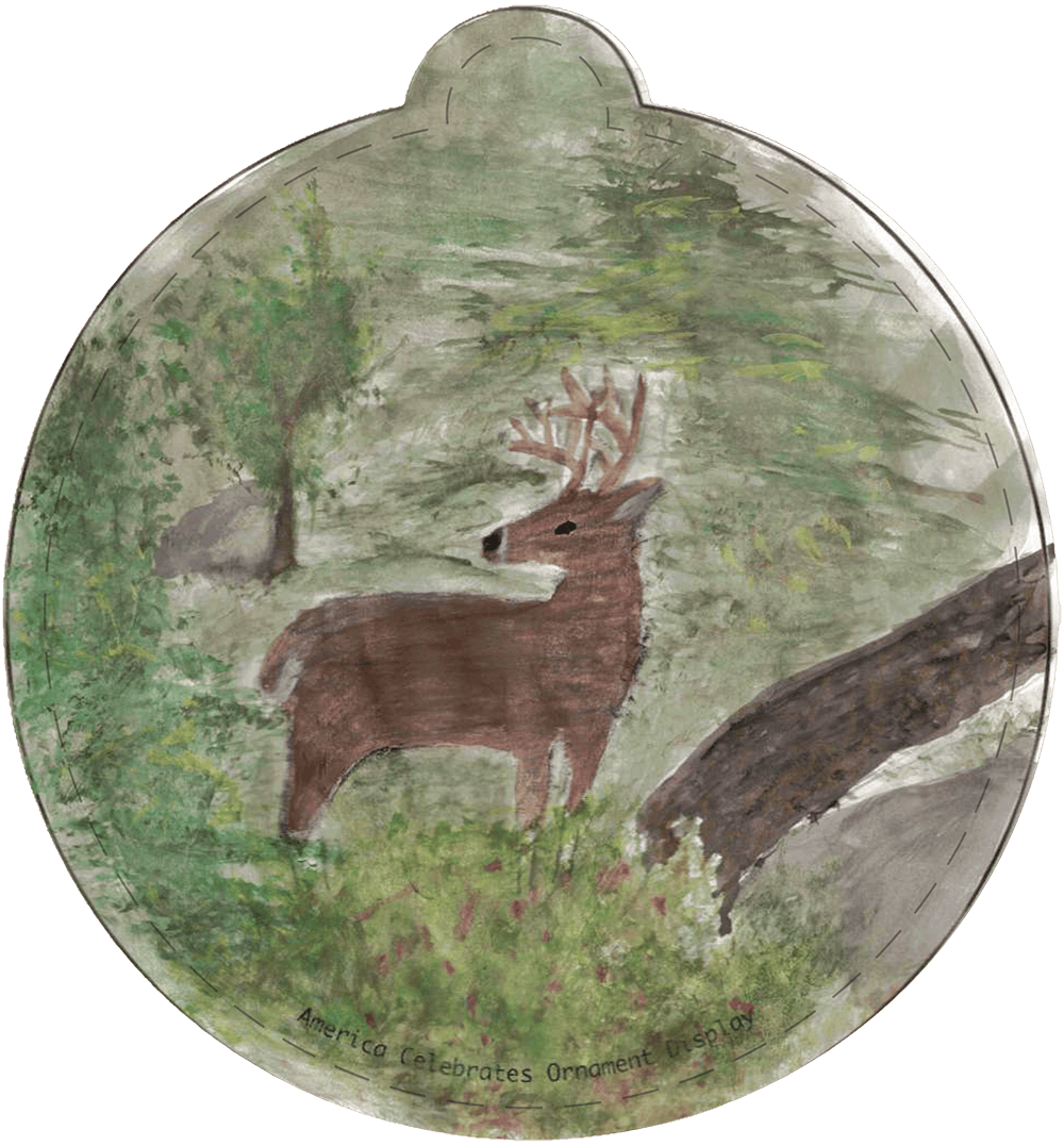 nebraska-national-christmas-tree-lighting