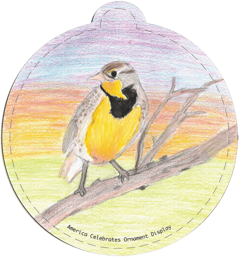 nebraska-national-christmas-tree-lighting