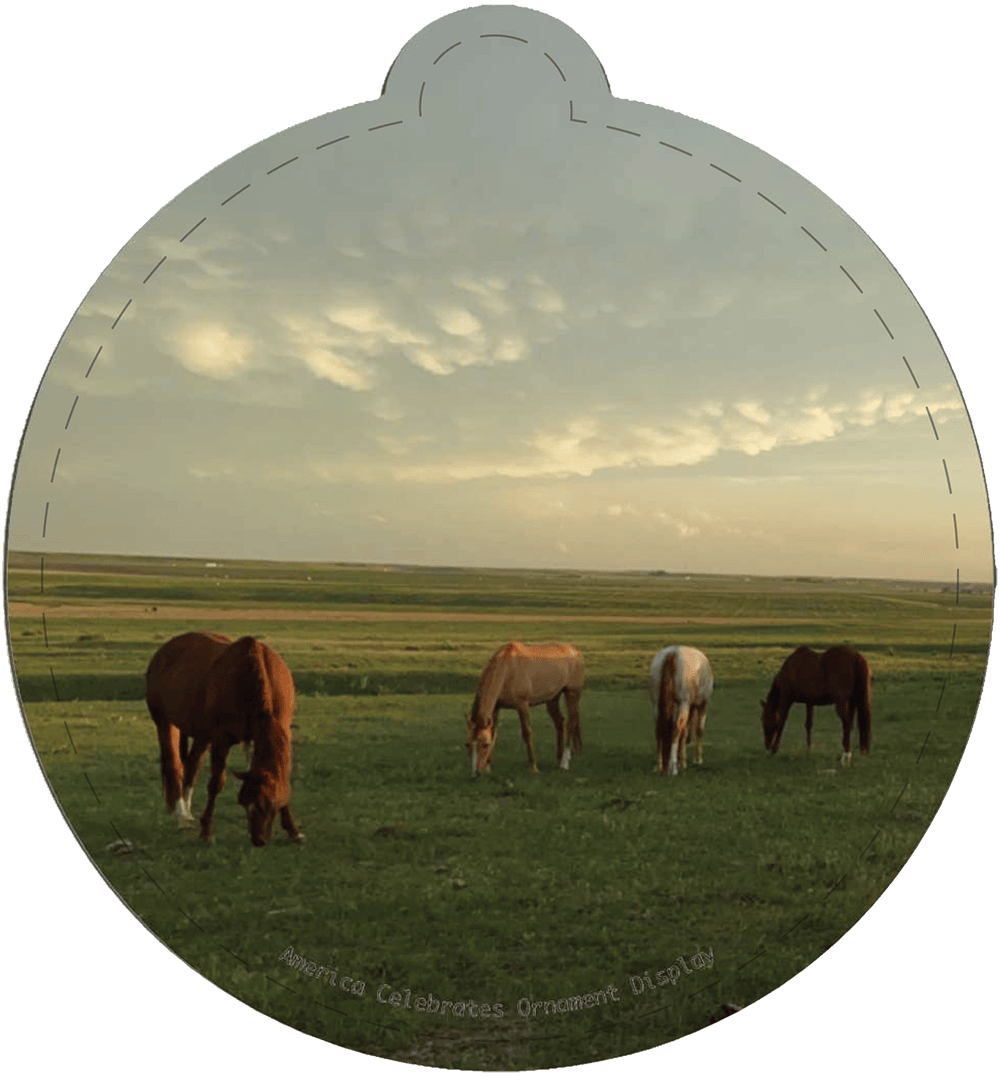 nebraska-national-christmas-tree-lighting